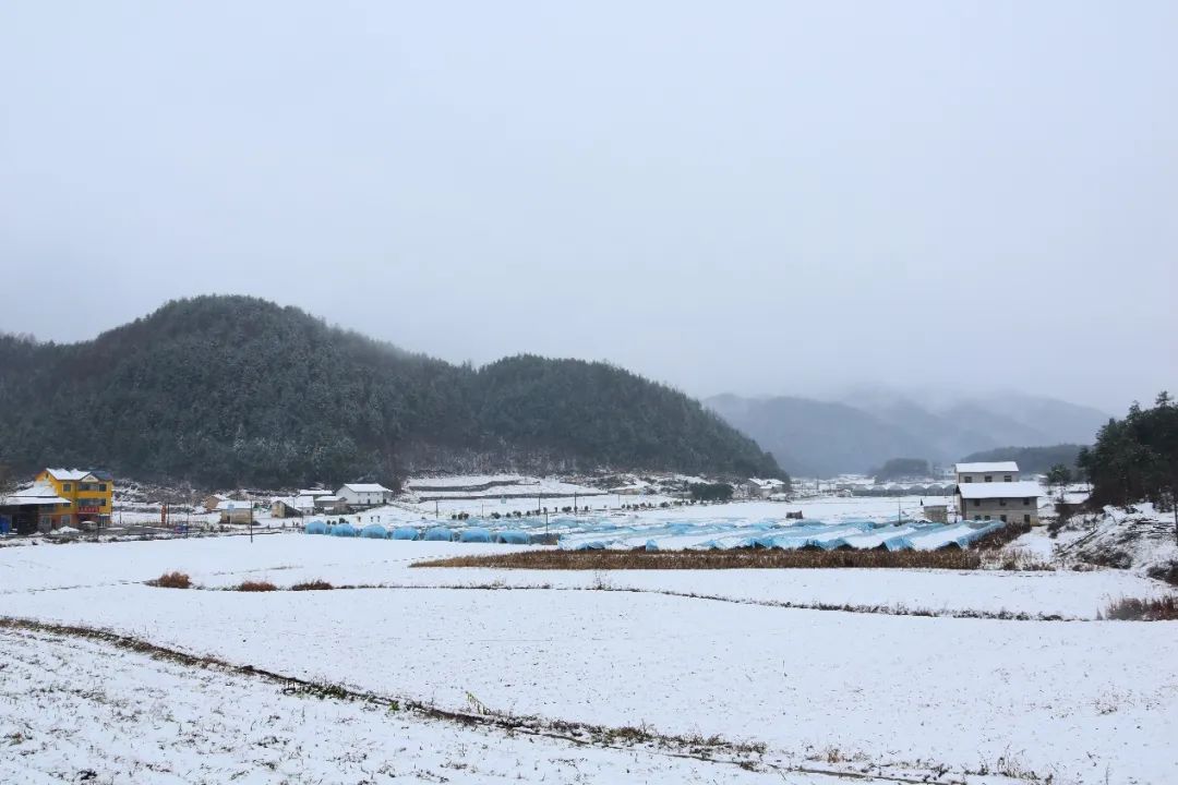 昭君臻选|原野上的冬日初雪